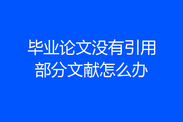 毕业论文没有引用部分文献怎么办