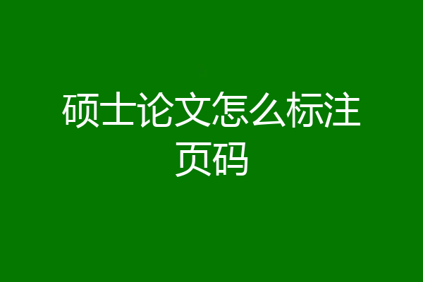 硕士论文怎么标注页码
