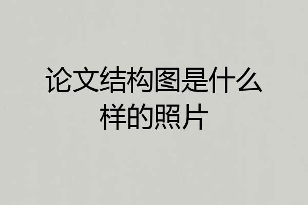 论文结构图是什么样的照片