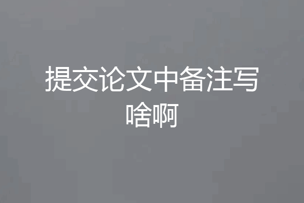 提交论文中备注写啥啊