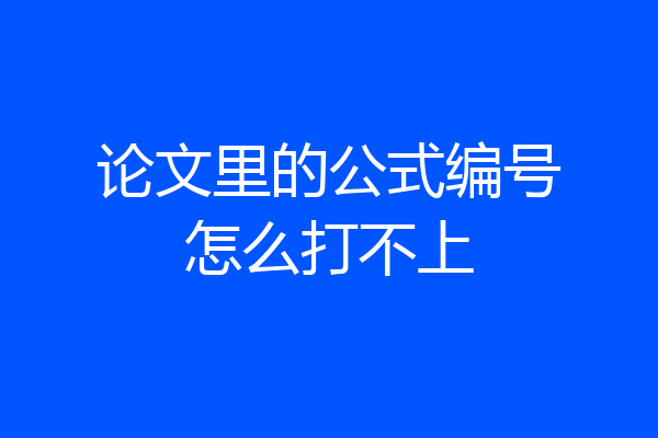 论文里的公式编号怎么打不上