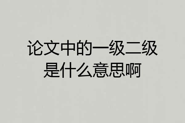 论文中的一级二级是什么意思啊