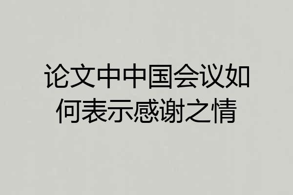 论文中中国会议如何表示感谢之情