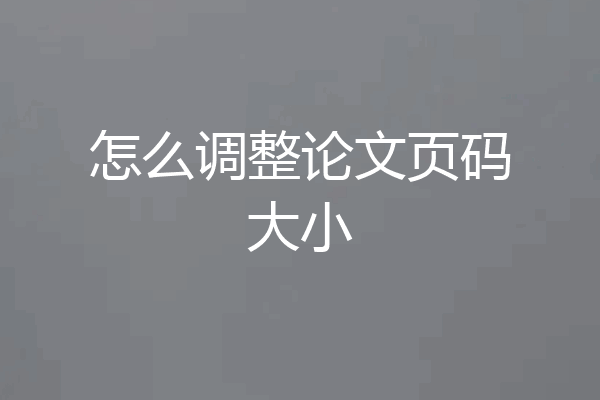 怎么调整论文页码大小