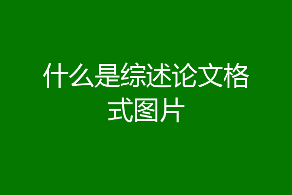 什么是综述论文格式图片