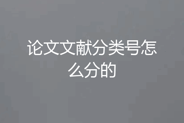 论文文献分类号怎么分的