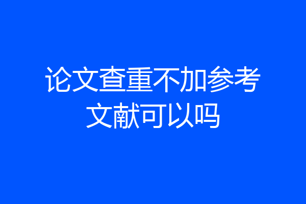 论文查重不加参考文献可以吗