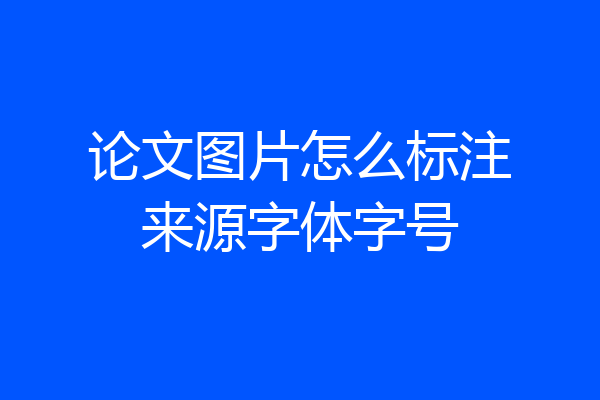 论文图片怎么标注来源字体字号