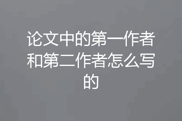 论文中的第一作者和第二作者怎么写的