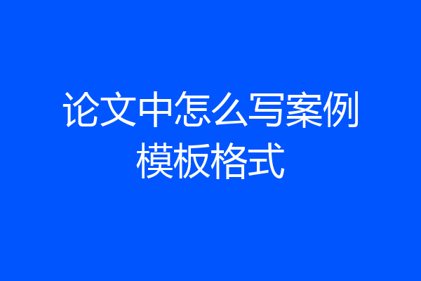 论文中怎么写案例模板格式
