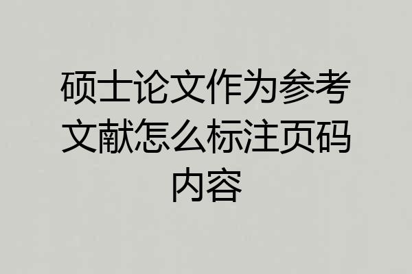 硕士论文作为参考文献怎么标注页码内容