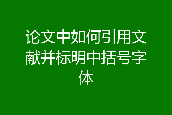 论文中如何引用文献并标明中括号字体