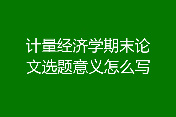 计量经济学期末论文选题意义怎么写
