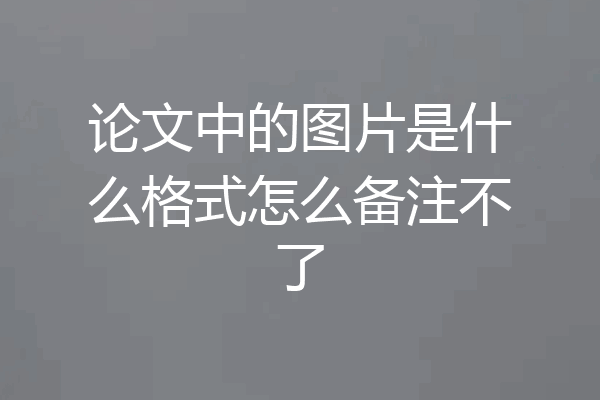 论文中的图片是什么格式怎么备注不了