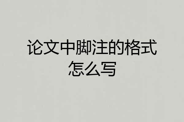 论文中脚注的格式怎么写