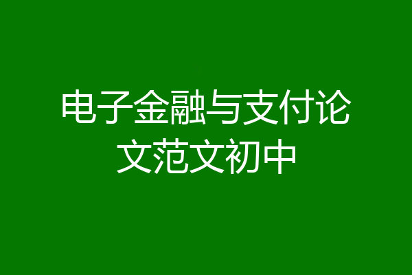 电子金融与支付论文范文初中
