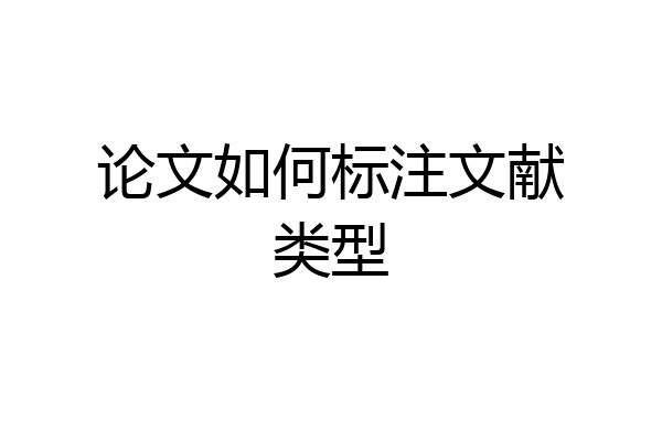 论文如何标注文献类型