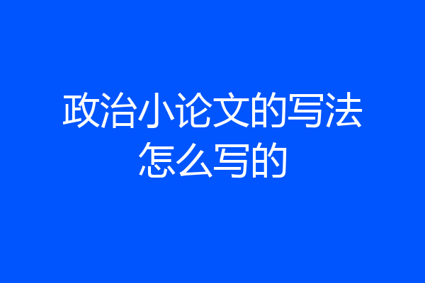 政治小论文的写法怎么写的