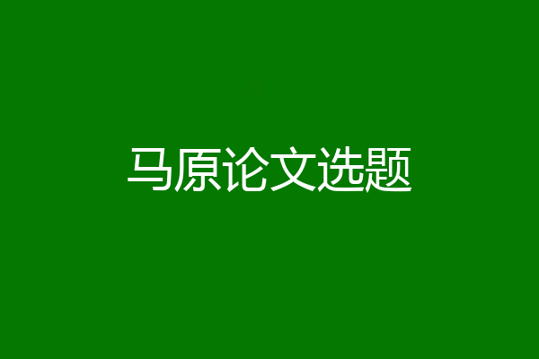 马原论文选题
