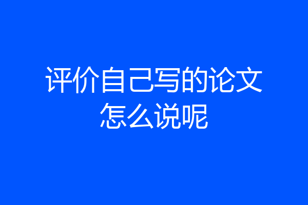 评价自己写的论文怎么说呢