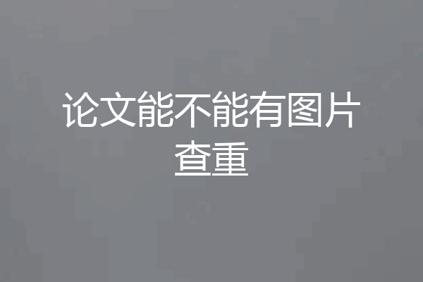 论文能不能有图片查重