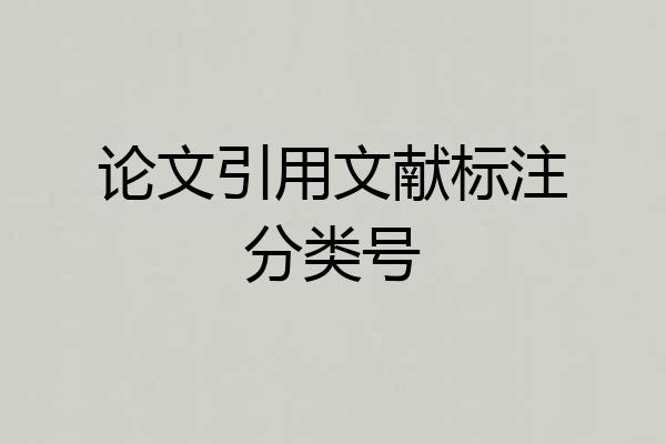 论文引用文献标注分类号