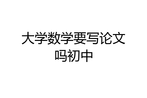 大学数学要写论文吗初中