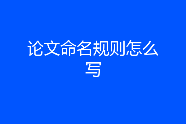 论文命名规则怎么写