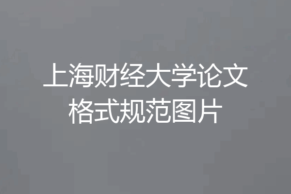 上海财经大学论文格式规范图片