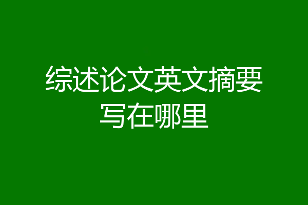 综述论文英文摘要写在哪里