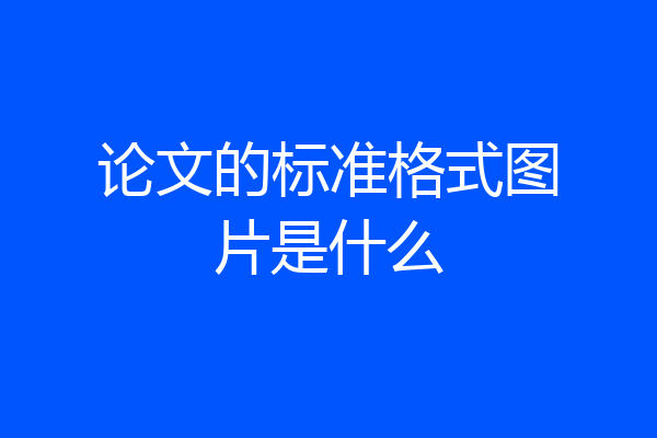 论文的标准格式图片是什么