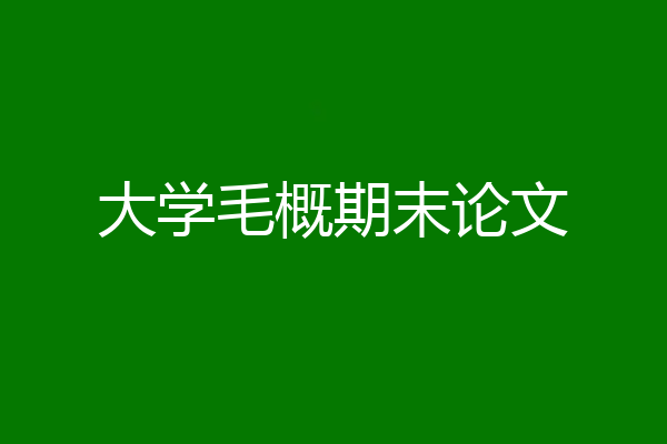 大学毛概期末论文