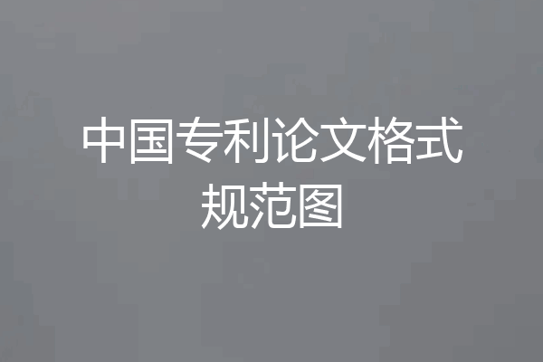 中国专利论文格式规范图