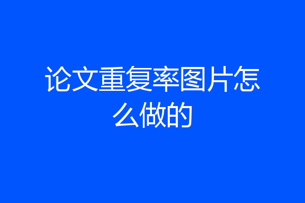 论文重复率图片怎么做的
