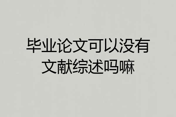 毕业论文可以没有文献综述吗嘛