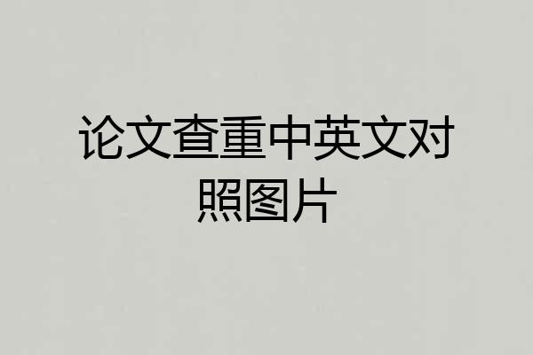 论文查重中英文对照图片