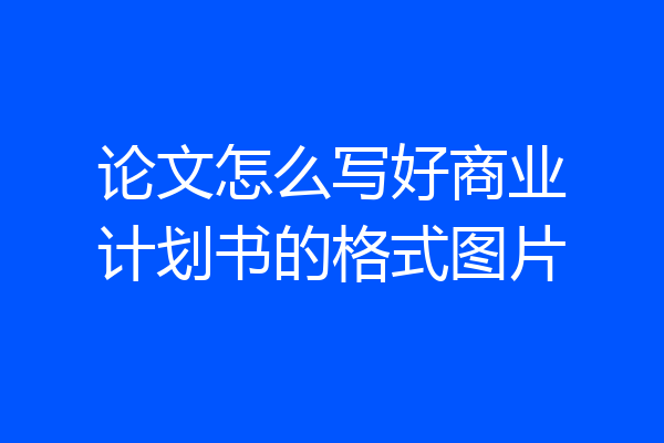 论文怎么写好商业计划书的格式图片