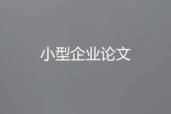 小型企业论文