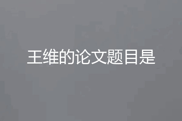 王维的论文题目是