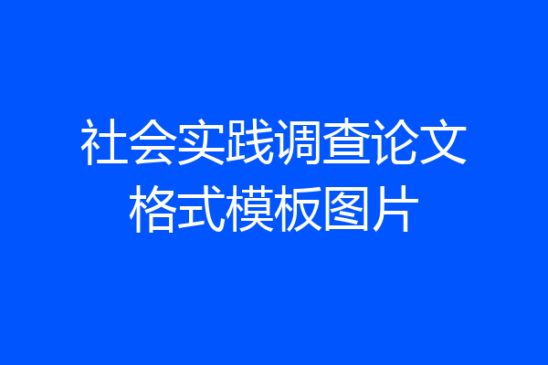 社会实践调查论文格式模板图片