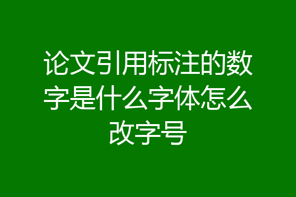 论文引用标注的数字是什么字体怎么改字号