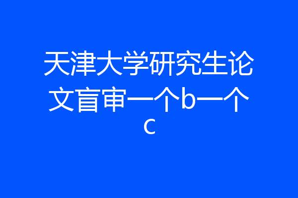 天津大学研究生论文盲审一个b一个c
