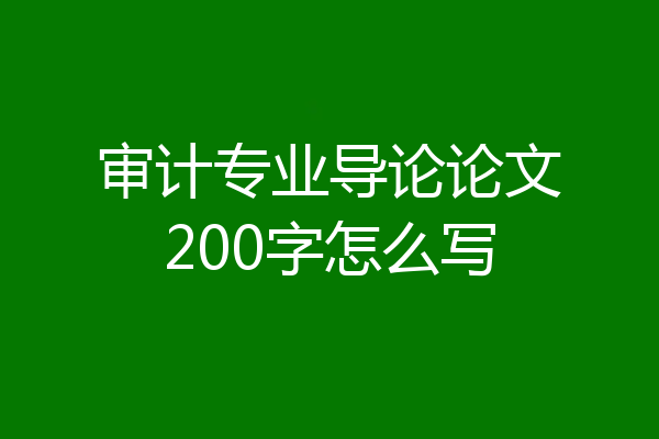 审计专业导论论文200字怎么写