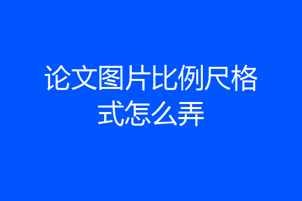 论文图片比例尺格式怎么弄