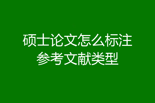 硕士论文怎么标注参考文献类型