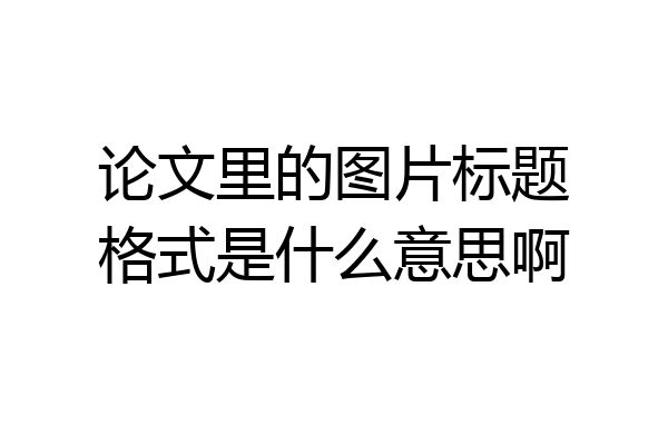 论文里的图片标题格式是什么意思啊