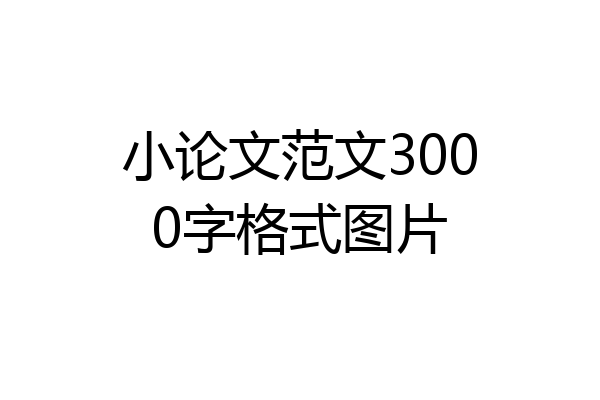小论文范文3000字格式图片