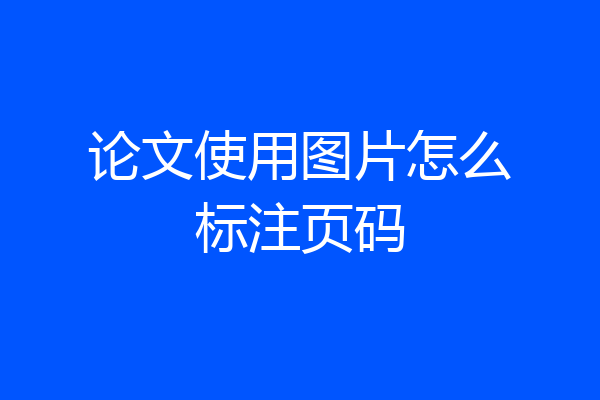 论文使用图片怎么标注页码