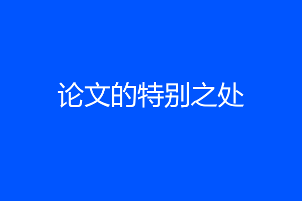 论文的特别之处