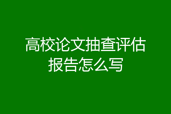 高校论文抽查评估报告怎么写